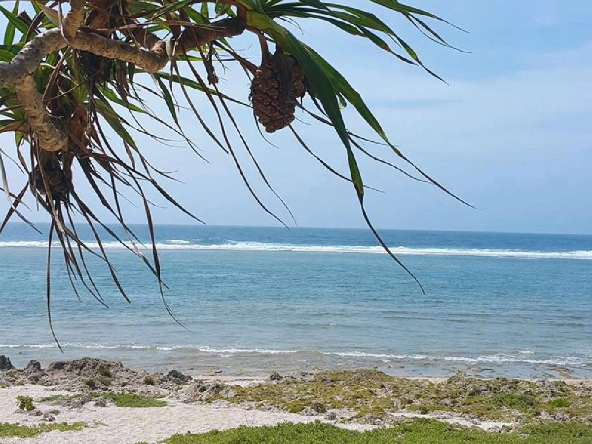 ขับไปเที่ยวไป ในโอกินาวา (7)