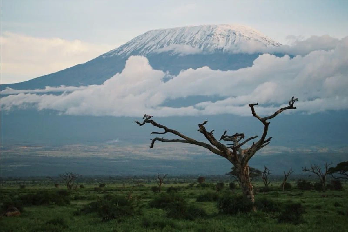 ความสุขของนักเดินทาง อยาก‘ลาออกตลอดชีวิต’