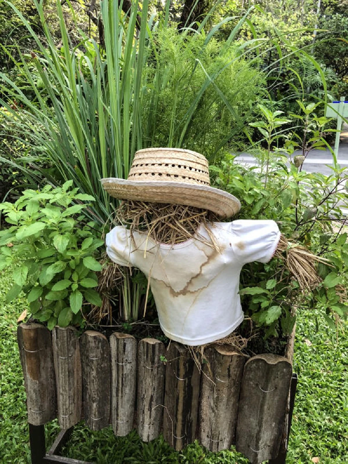 สวัสดีปีจอหมา มาคอยท่าปีกุนหมู