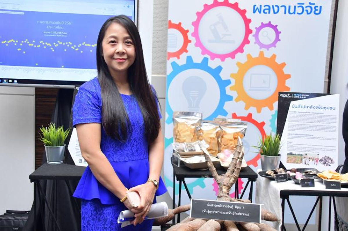 มันสำปะหลังพันธุ์ใหม่‘พิรุณ 4’ ‘ปลอดกลูเตน’สู่เมนูขนมเลิศรส มันสำปะหลังพันธุ์ใหม่‘พิรุณ 4’ ‘ปลอดกลูเตน’สู่เมนูขนมเลิศรส