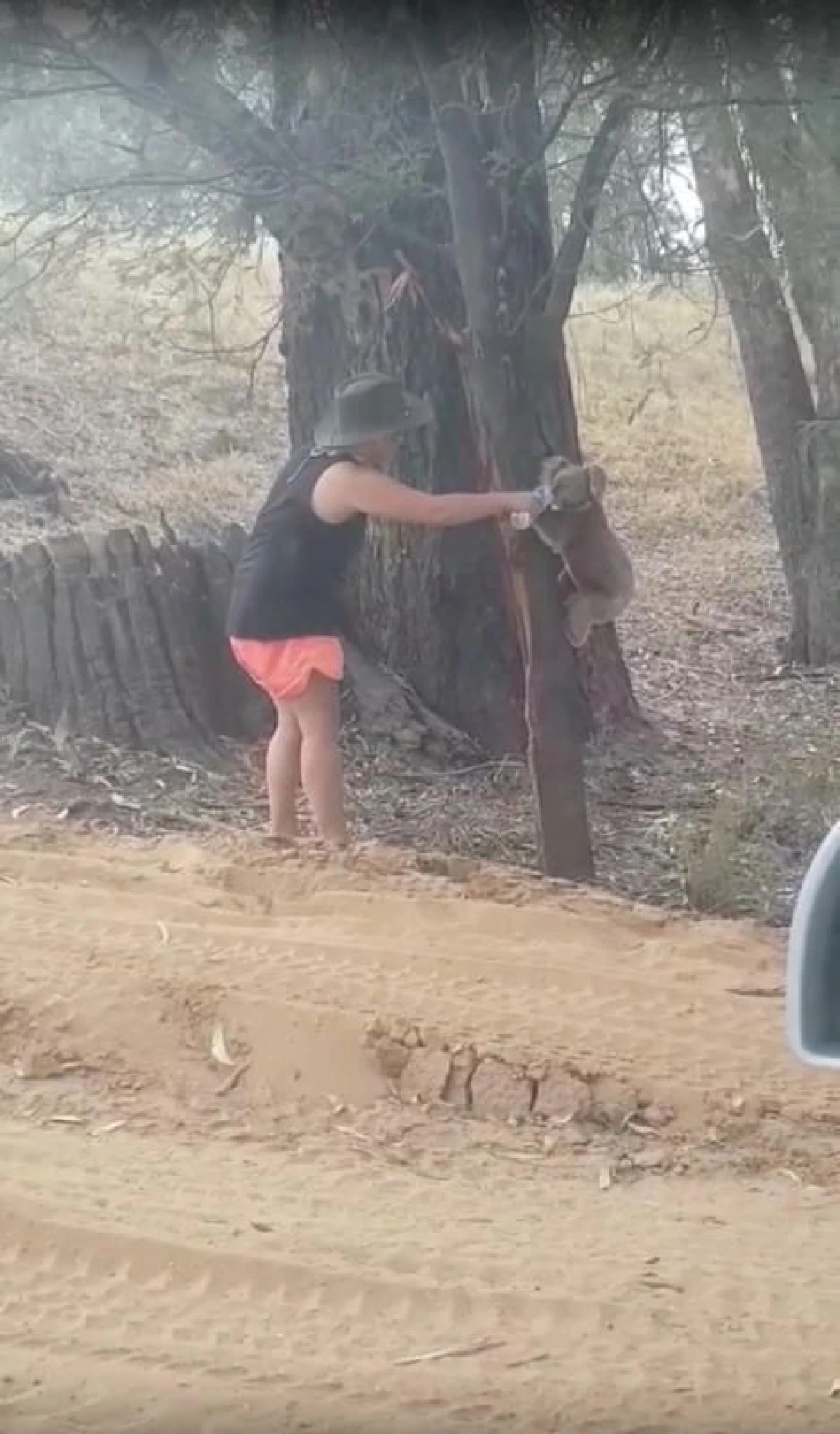 บางส่วนของออสเตรเลียเผชิญอากาศร้อนเฉียด 50 องศา