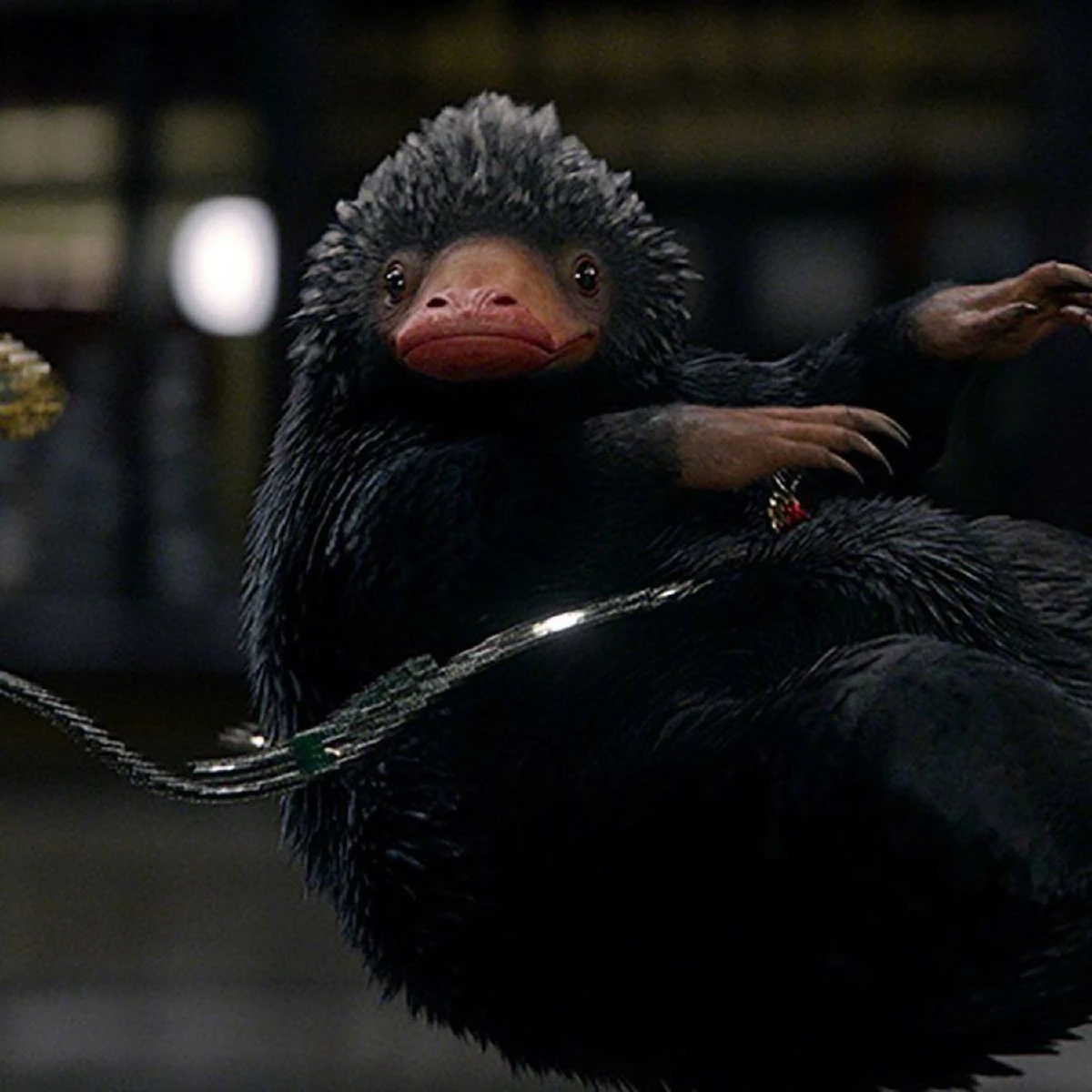 มุ่งสู่ความมืดดำ