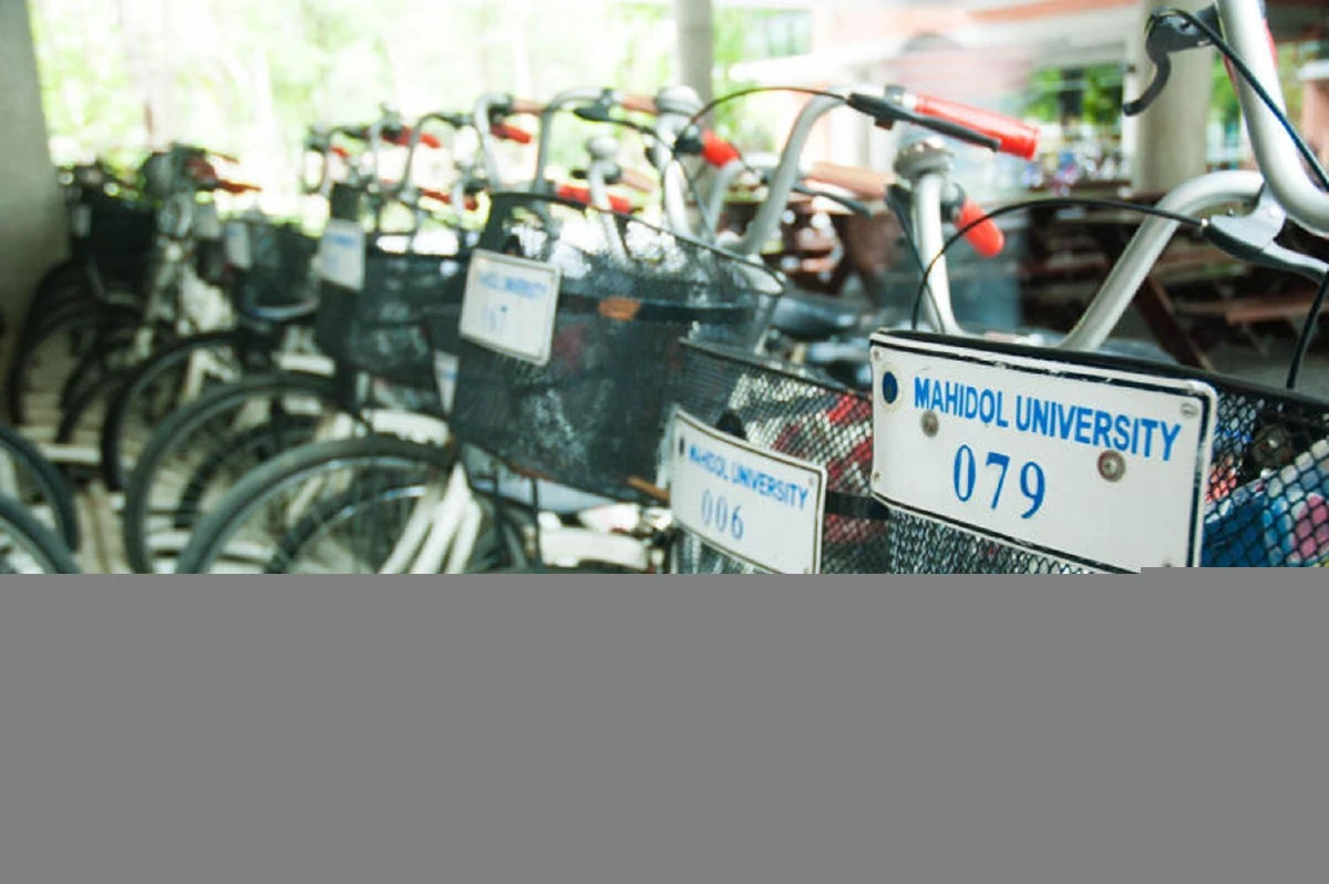 มหาวิทยาลัยสีเขียว 2018