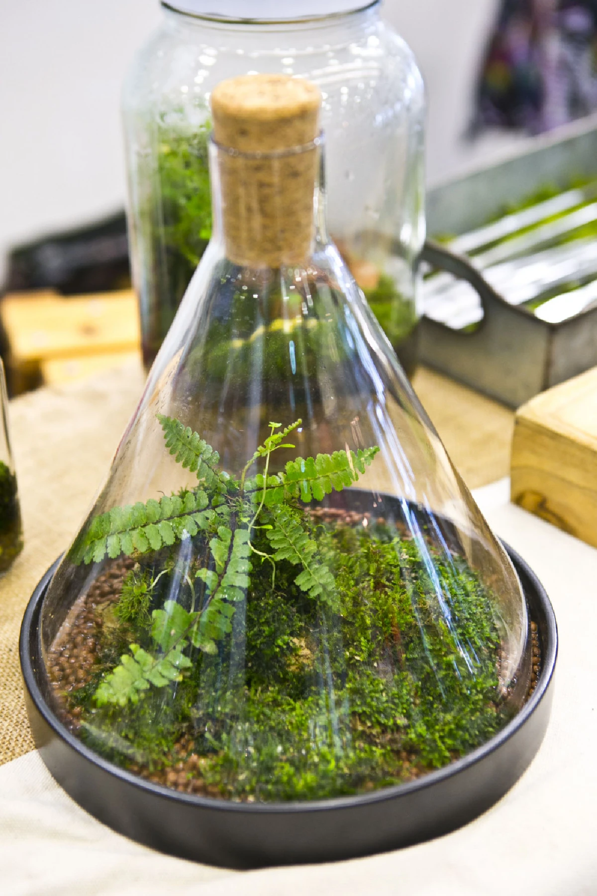 สวนขวดสุดเท่ สร้างรายได้