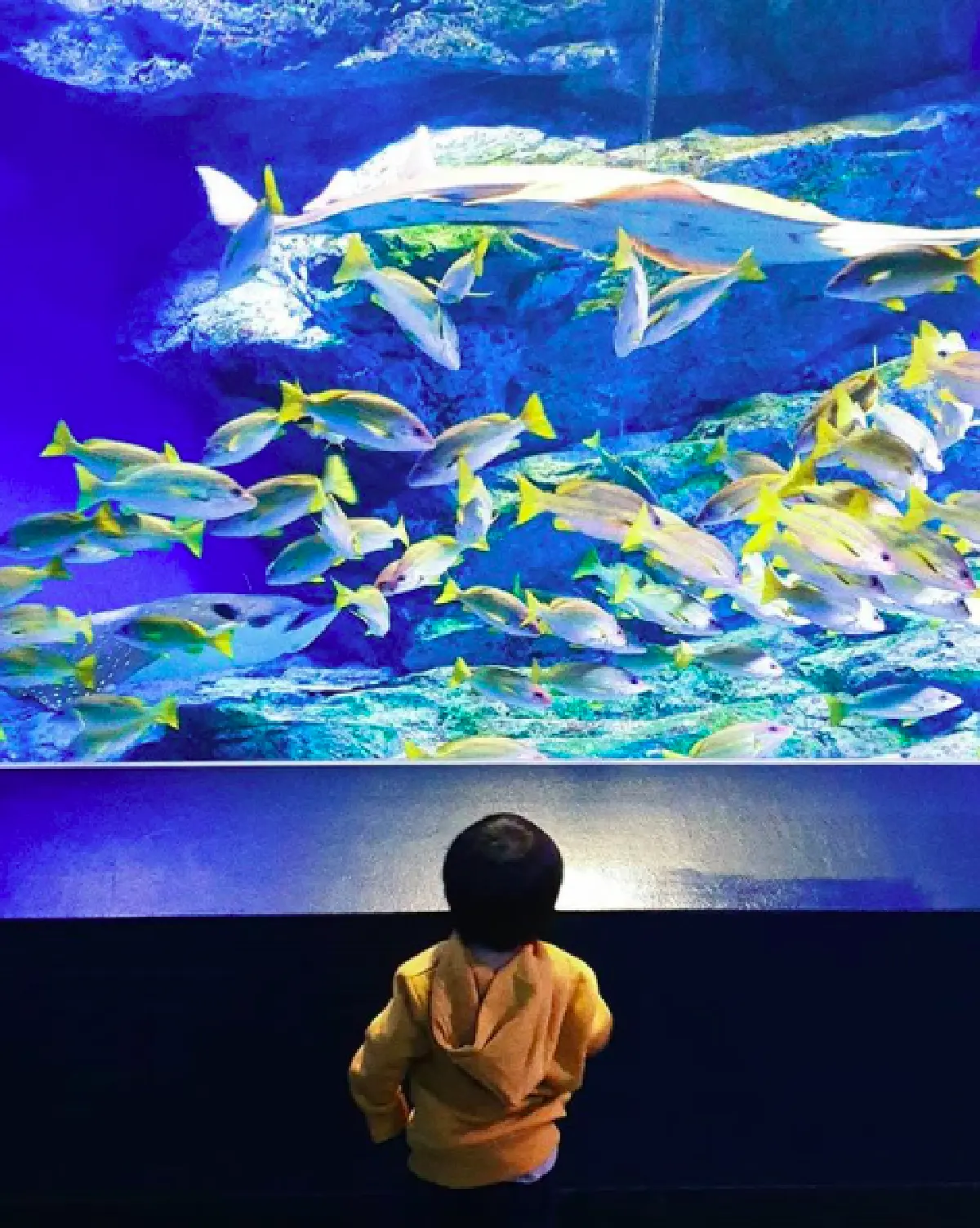 “แม่ชม-พ่อน็อต” กระเตงลูกแฝด “สายฟ้า-พายุ” เที่ยวพักผ่อนรับอากาศเย็นๆ ที่ญี่ปุ่น