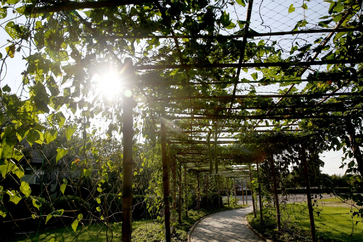 เที่ยวเขาชะงุ้ม อิ่มถึงบางแพ