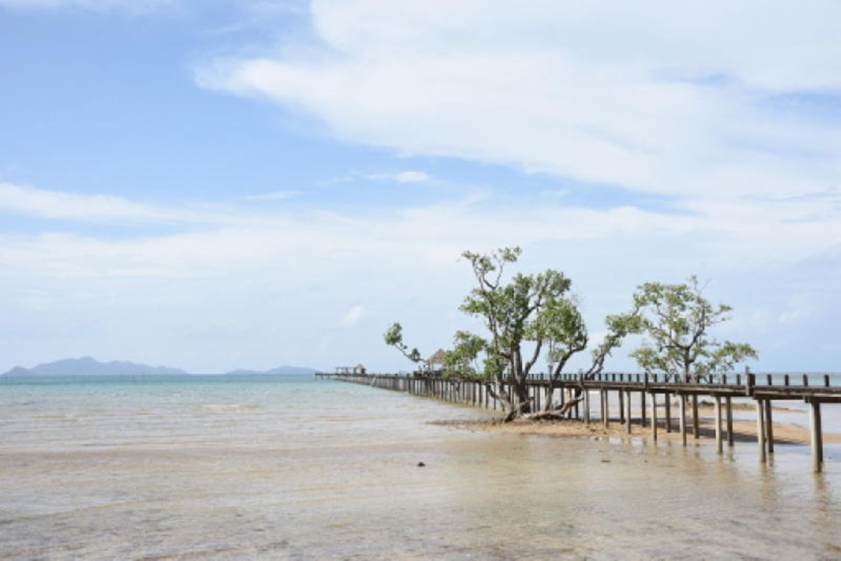 เกาะหมาก สร้างท่องเที่ยวแบบโลว์คาร์บอน เกาะหมาก สร้างท่องเที่ยวแบบโลว์คาร์บอน