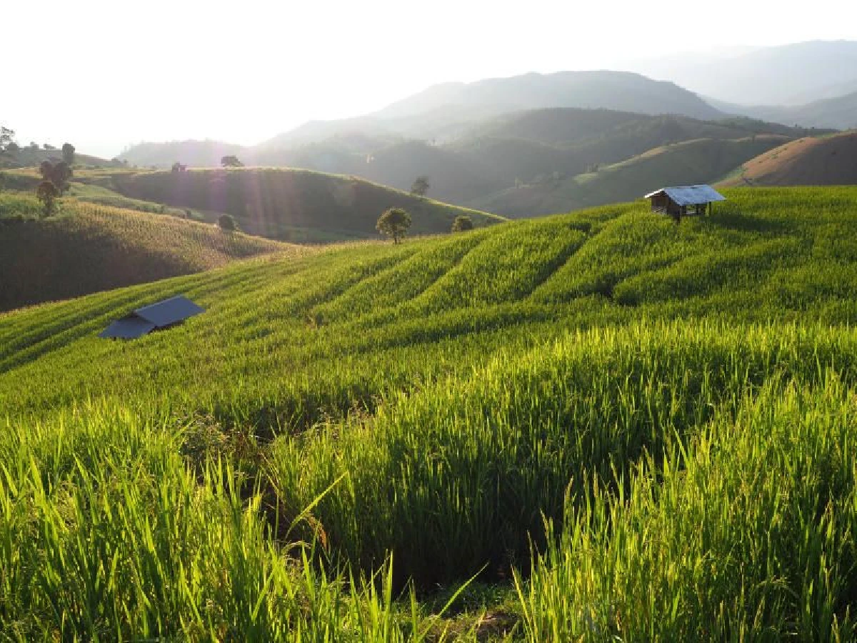 นักเล่าระหว่างก้าว ‘ก้าวเดินทาง-Small Steps Travel’