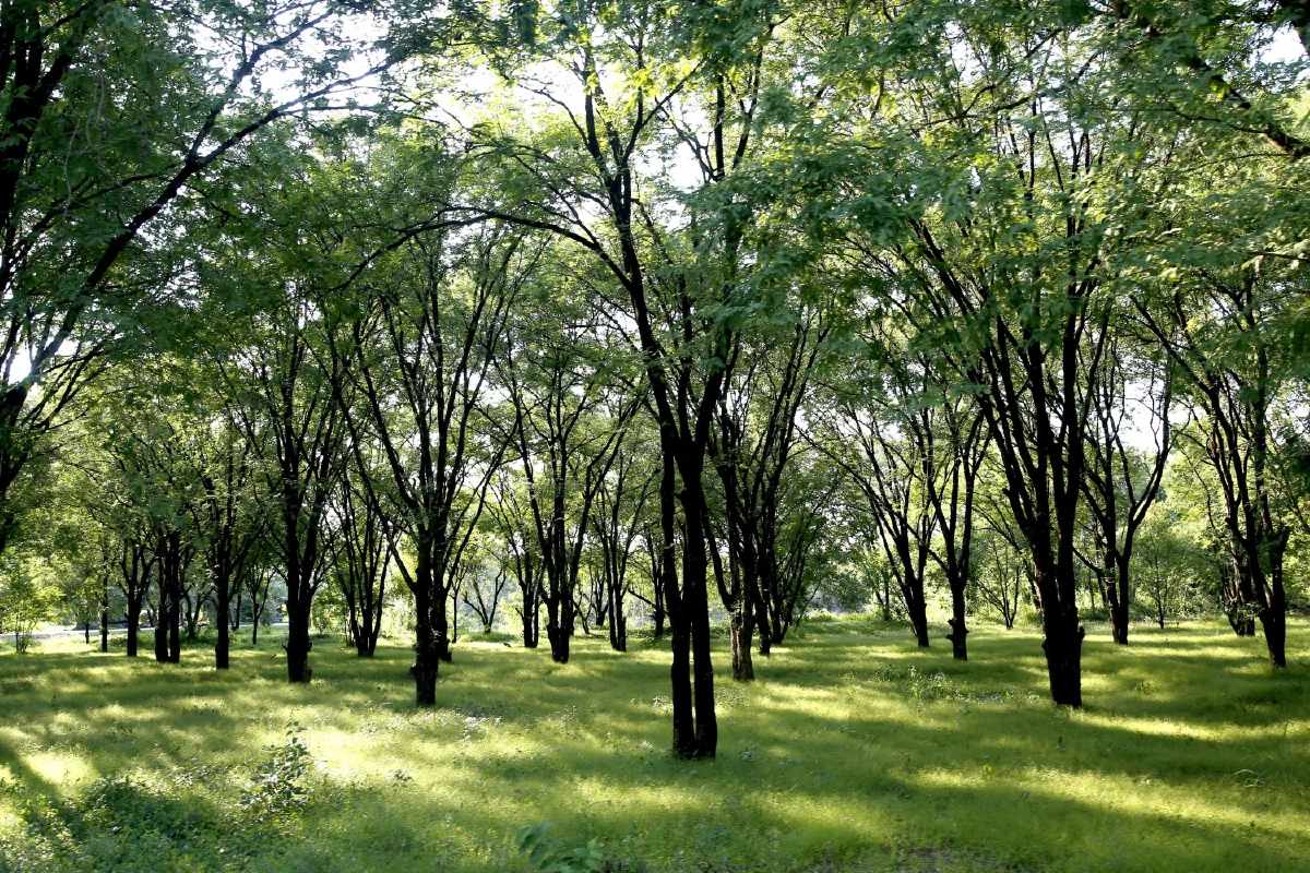 เที่ยวเขาชะงุ้ม อิ่มถึงบางแพ