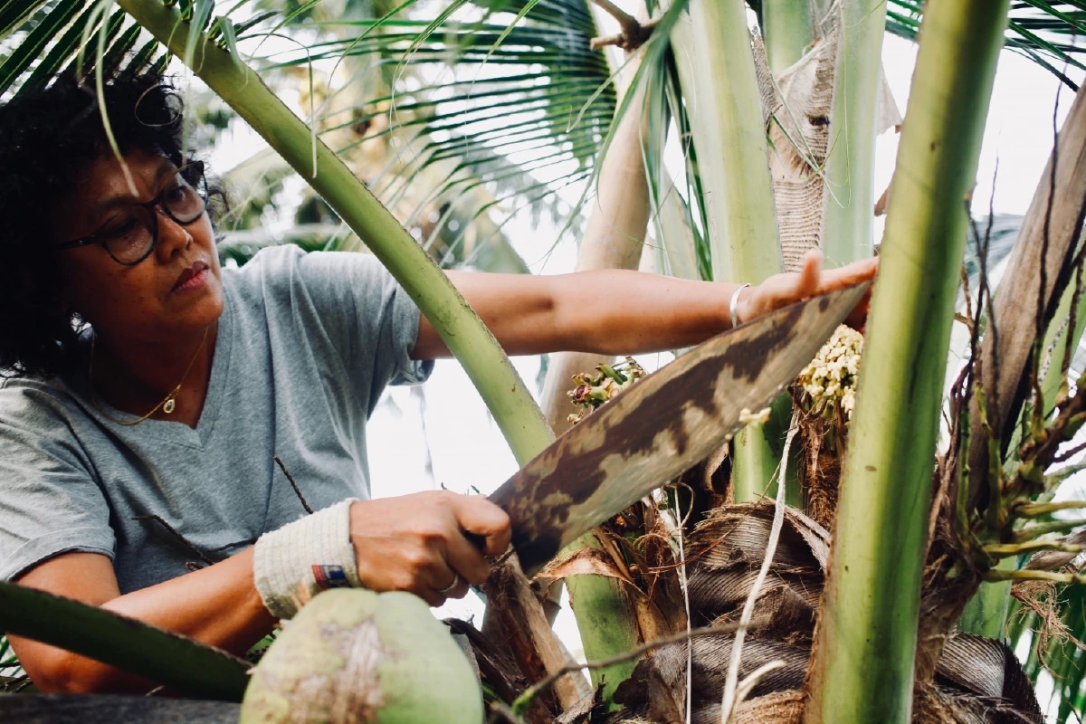 นิสา คงศรี จังหวะชีวิตกับการฝึกฝนตัวตนที่บ้านเกิด