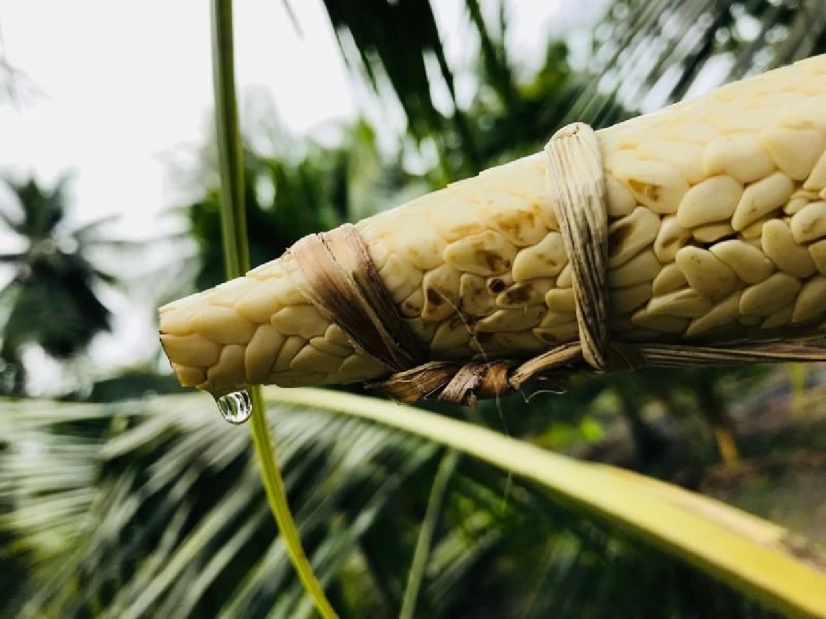 นิสา คงศรี จังหวะชีวิตกับการฝึกฝนตัวตนที่บ้านเกิด