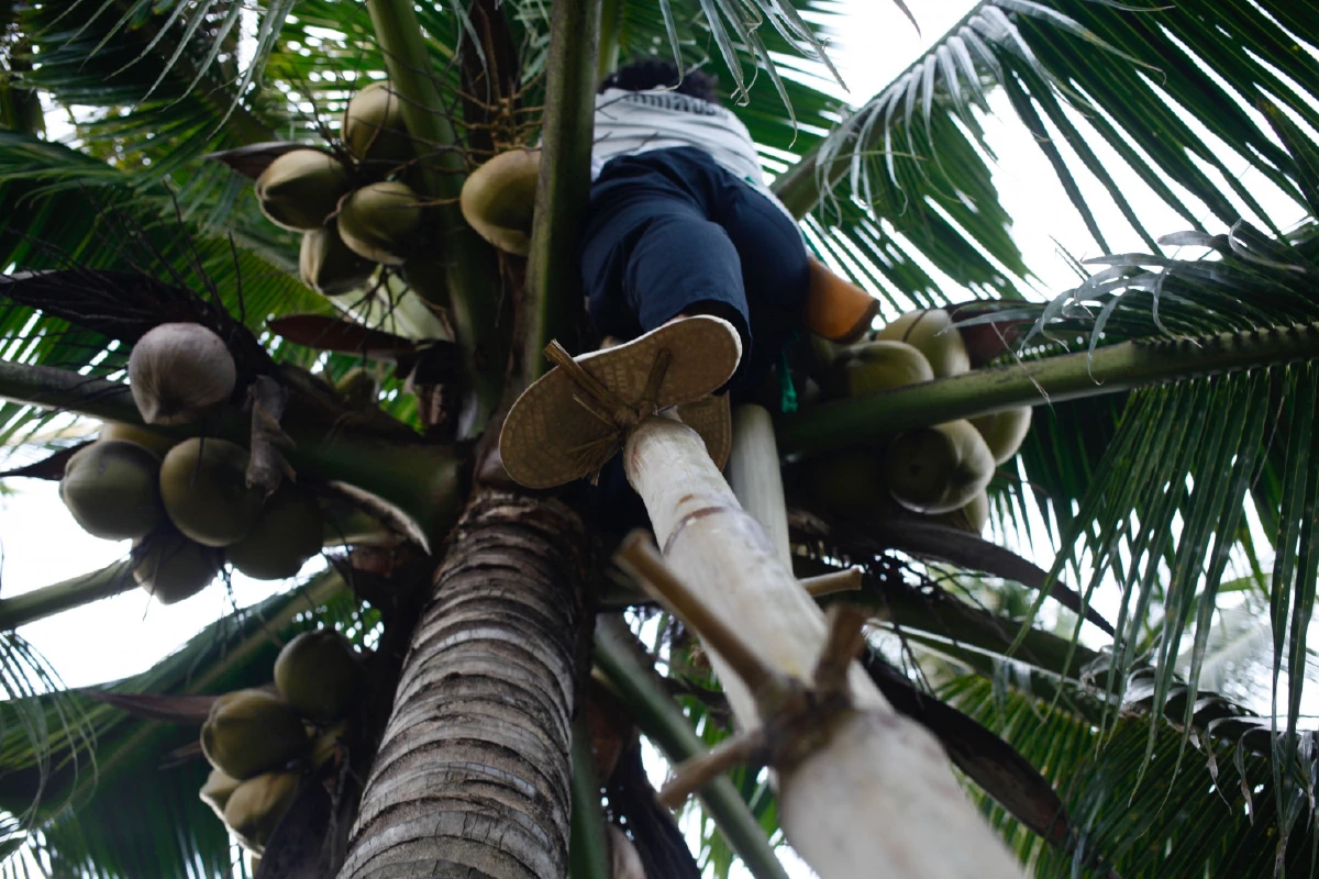 นิสา คงศรี จังหวะชีวิตกับการฝึกฝนตัวตนที่บ้านเกิด
