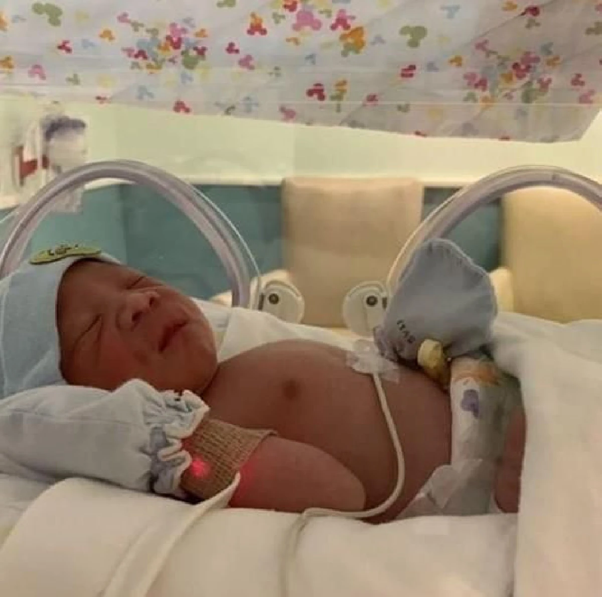 "อีฟ พุทธธิดา" คลอดลูกชาย "น้องมีบุญ" หน้าคล้ายคุณตา "ต้อย เศรษฐา”