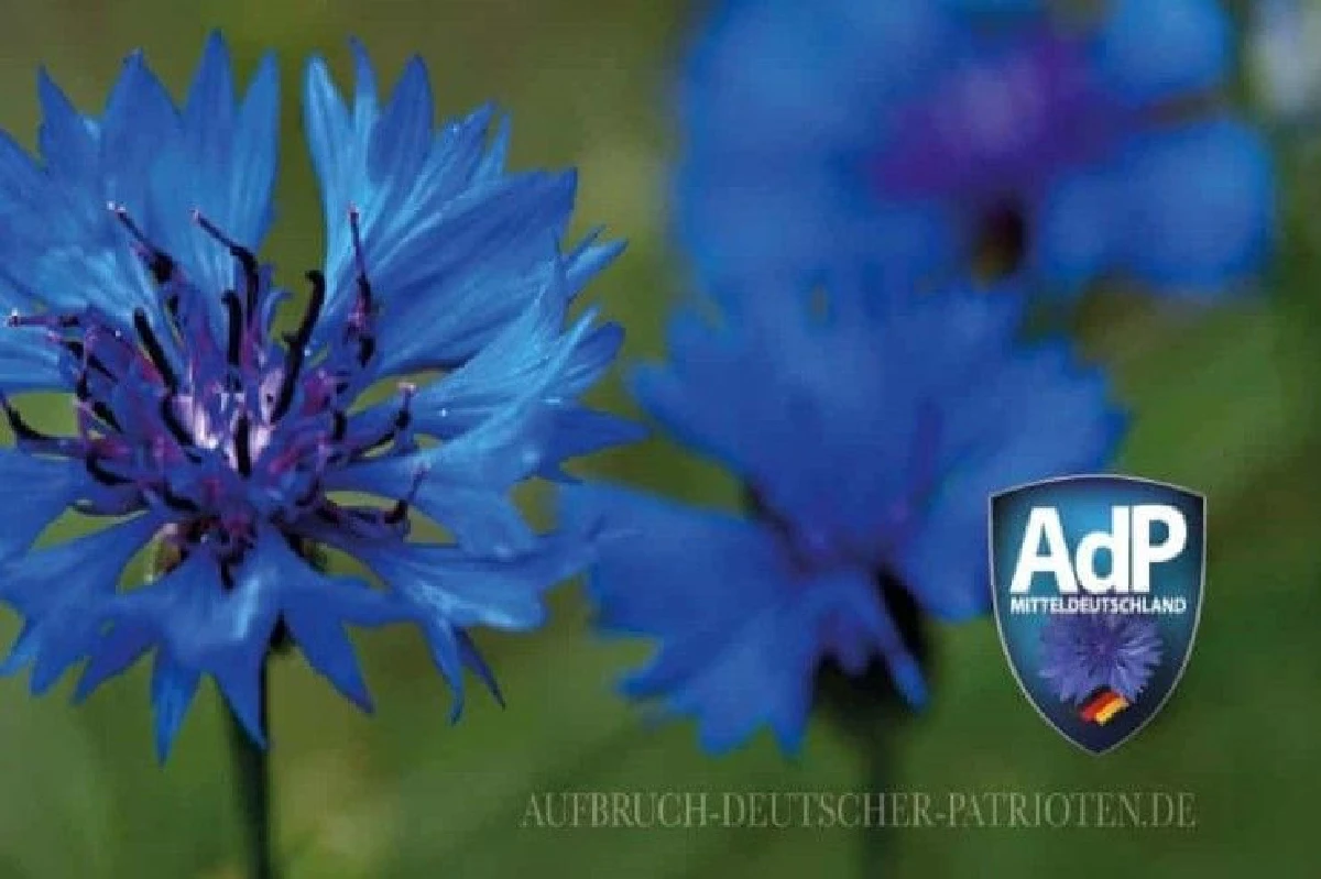 พบสัญลักษณ์นาซี ในพรรคขวาจัดของเยอรมนี