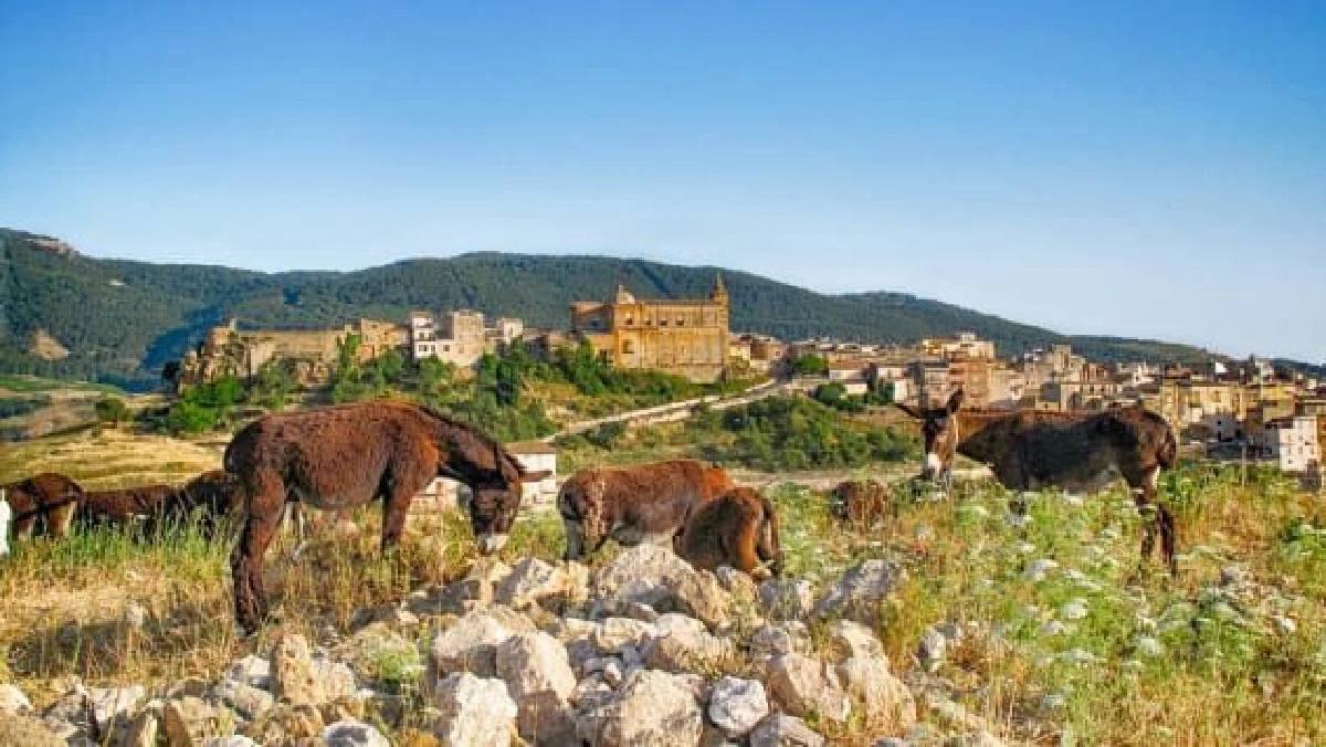 เมืองอิตาลีขายบ้านราคา 1 ยูโร