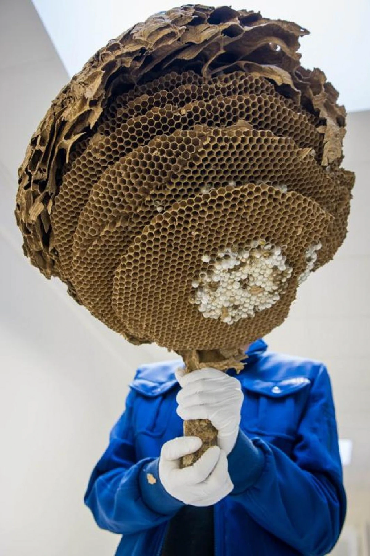 ความเกียจคร้าน คือประตูสู่ความเสื่อมในชีวิต