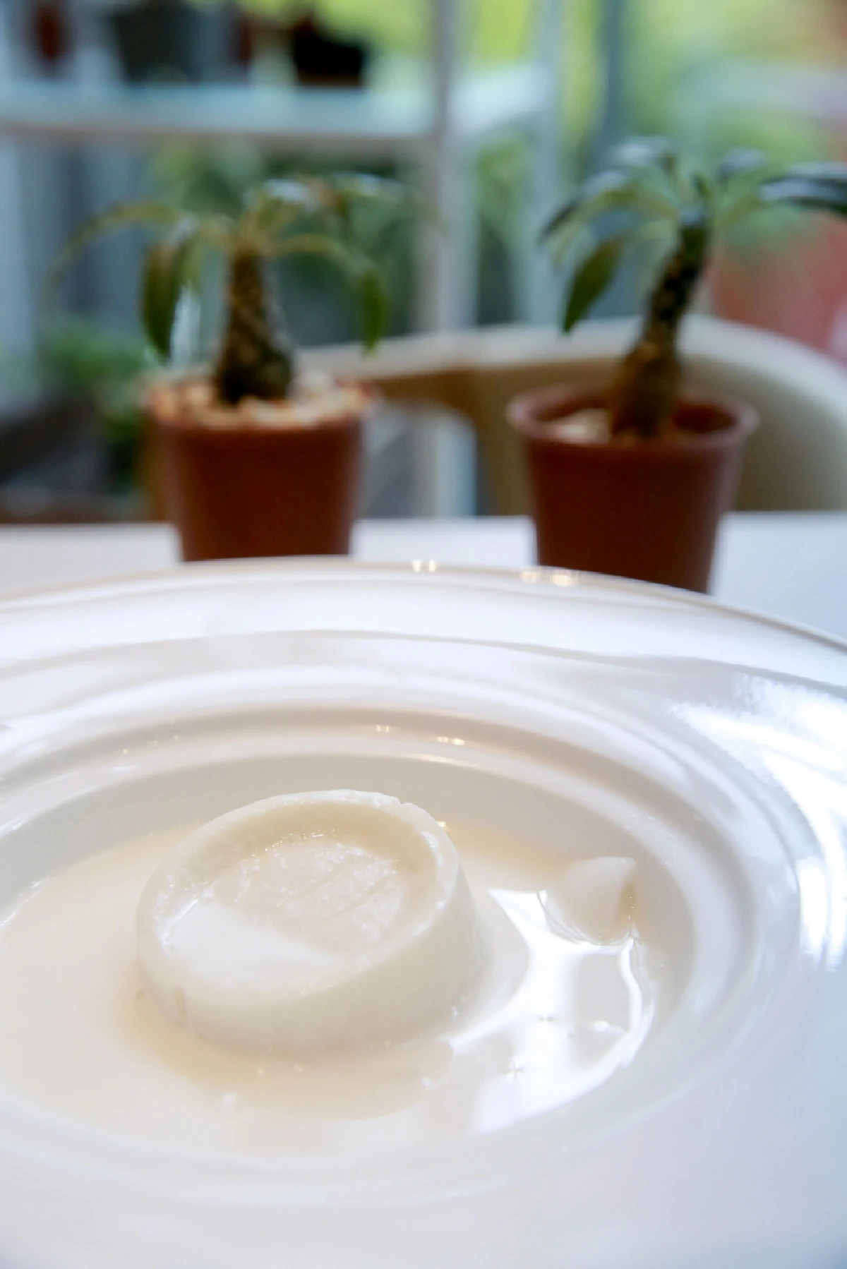 ออล โคโค่ คาเฟ่ แด่คนรักมะพร้าวน้ำหอม