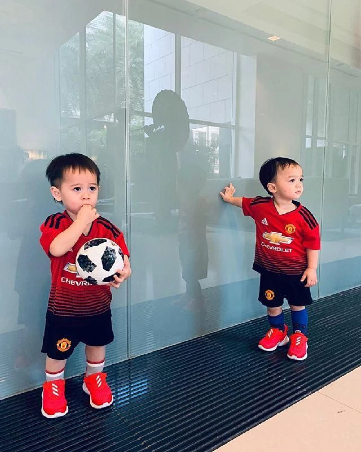 แม่ไม่อยู่หนูร่าเริง! สายฟ้า-พายุ สนุกสนานแช่ตัวในซิงค์ล้างจาน