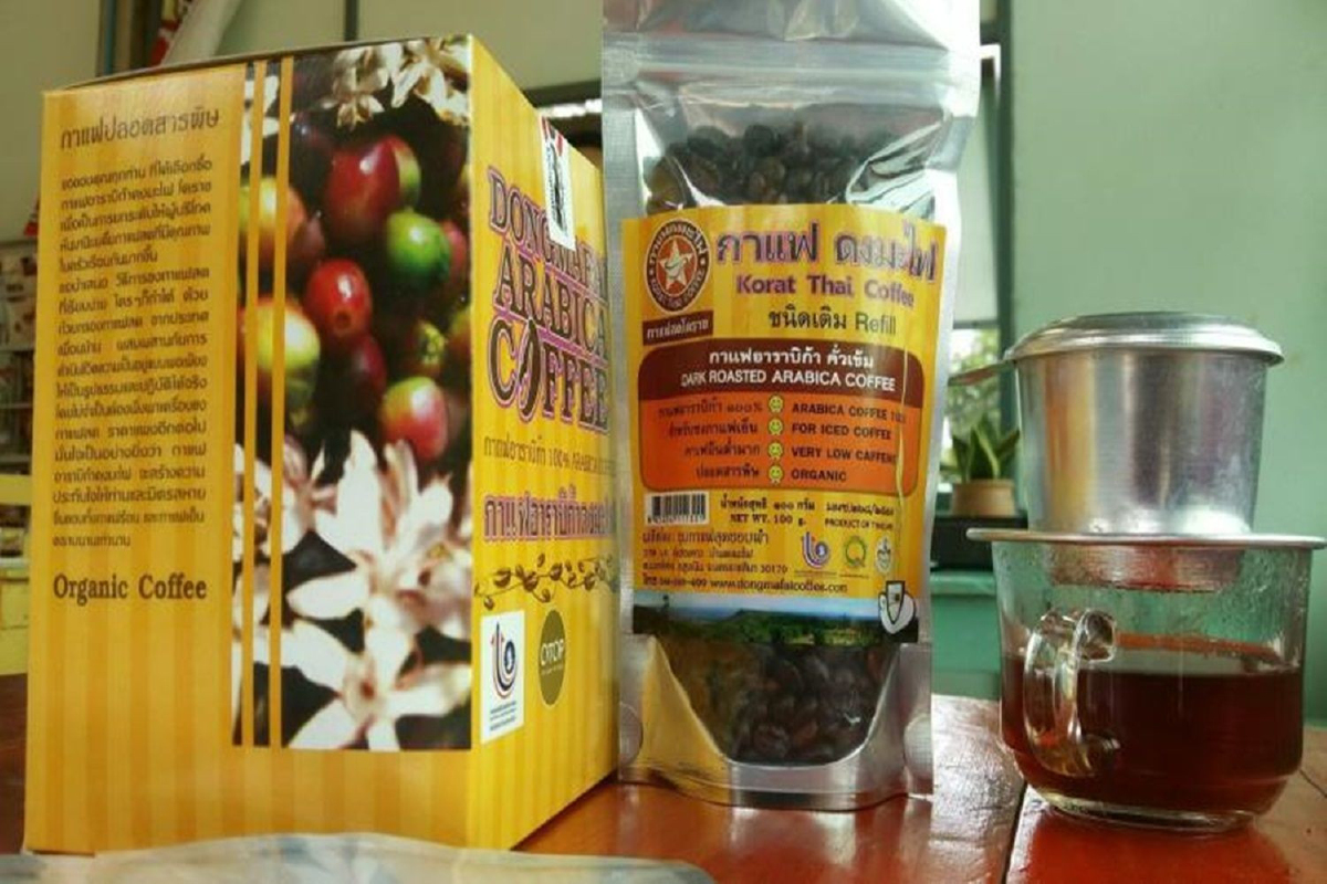 กาแฟดงมะไฟ สูตรพิเศษของโคราช กาแฟดงมะไฟ สูตรพิเศษของโคราช