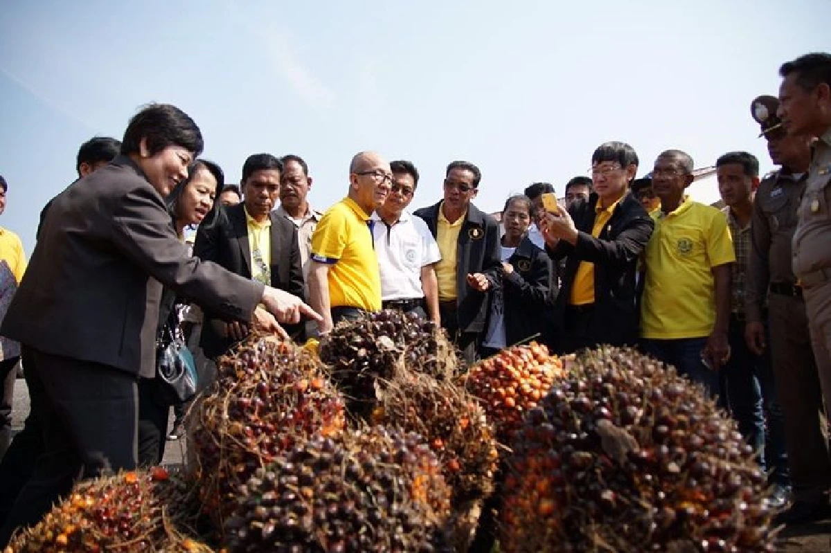 รมว.พลังงานไปสุราษฎร์ปล่อยเรือขนส่งน้ำมันปาล์มดิบเที่ยวแรกใช้ผลิตไฟฟ้าที่บางปะกง