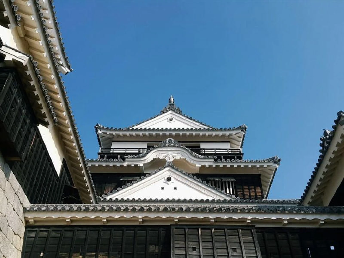 ชิโกคุ ครั้งแรก (2)