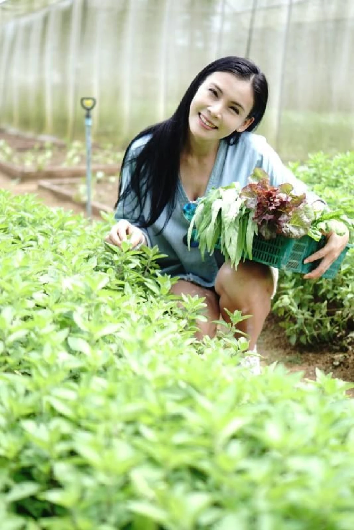 พรรณษร ปฐมาภินันท์ ความสุขบนวิถีสโลว์ไลฟ์ที่สวนผึ้ง