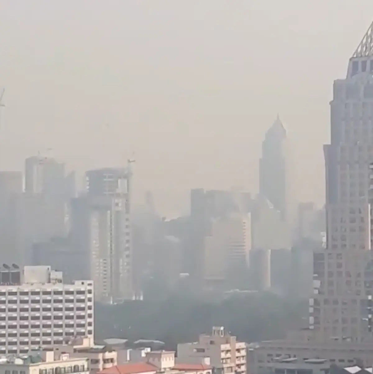 “ซันนี่ The Face Men” โพสต์คลิปโรงแรมปล่อยควันดำ อีกทั้งโทรแจ้งเจ้าหน้าแต่ถูกตัดสาย