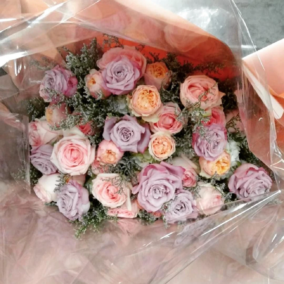 เจ้าของร้านส่งการ์ดขอโทษ แพร วทานิกา หลังเจอแมลงสาบในอาหาร