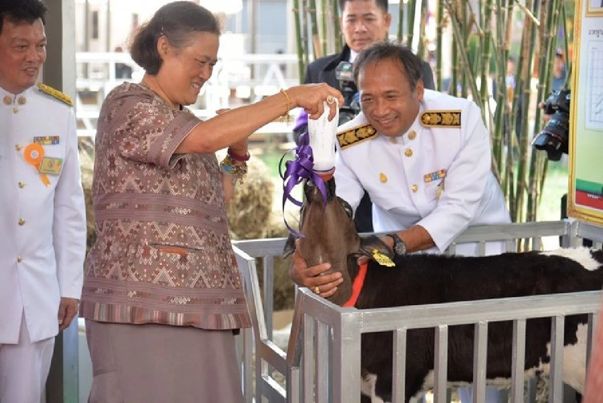 อ.ส.ค. เปิดงานเทศกาลโคนมแห่งชาติ ประจำปี 2562 จัดงานอย่างยิ่งใหญ่เทิดพระเกียรติ “พระบิดาแห่งการโคนมไทย”