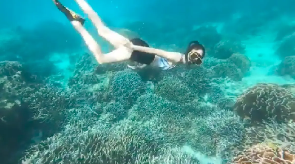 "แต้ว ณฐพร” จัดทริปเติมพลังหลังทำงานหนัก พร้อมโชว์สกิลดำน้ำแบบสน็อกเกิ้ล