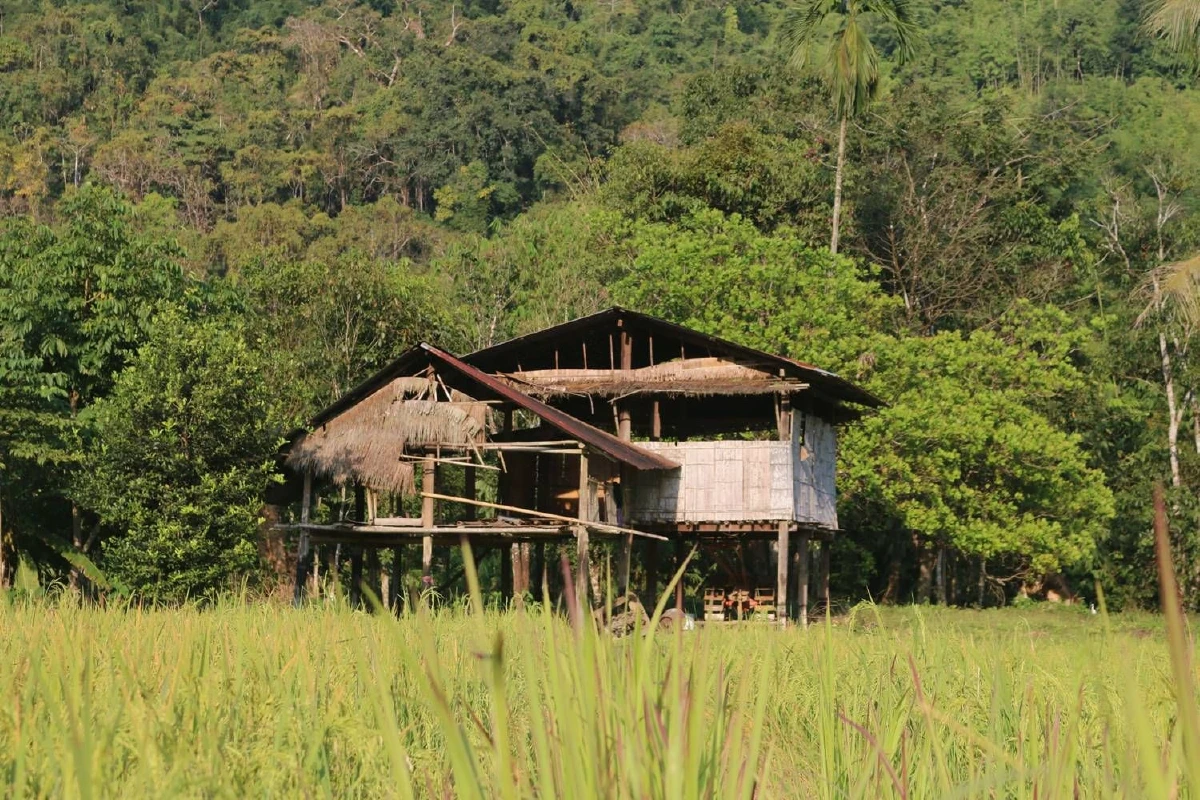 "เสียงคนชายขอบ" จากป่าทุ่งใหญ่ถึงนักการเมือง