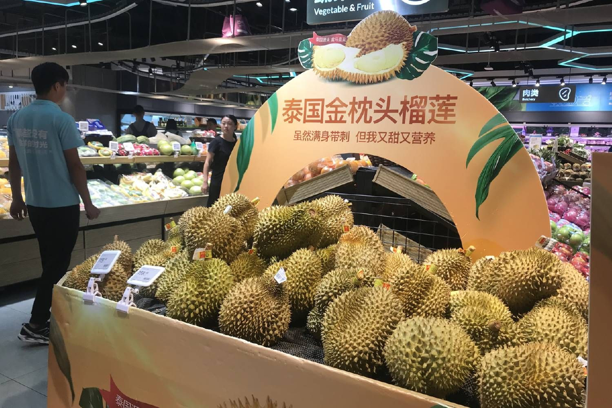 หวั่นสงครามการค้าทุบผลไม้ไทย หลังกำลังซื้อคนจีนหด หวั่นสงครามการค้าทุบผลไม้ไทย หลังกำลังซื้อคนจีนหด