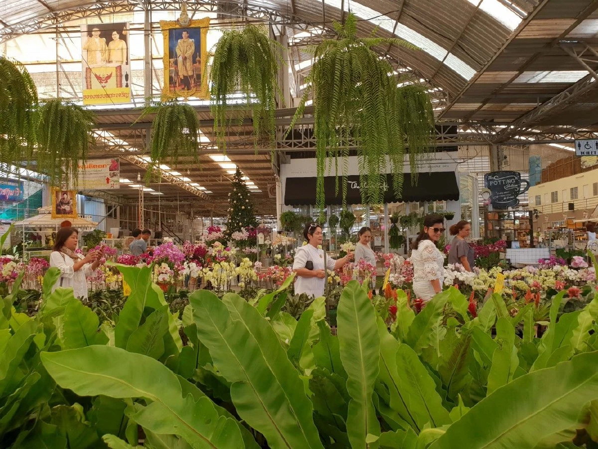 หนักแค่ไหนไม่เท่าที่ผ่านมา คาถากู้วิกฤต "แอร์ออร์คิดส์"