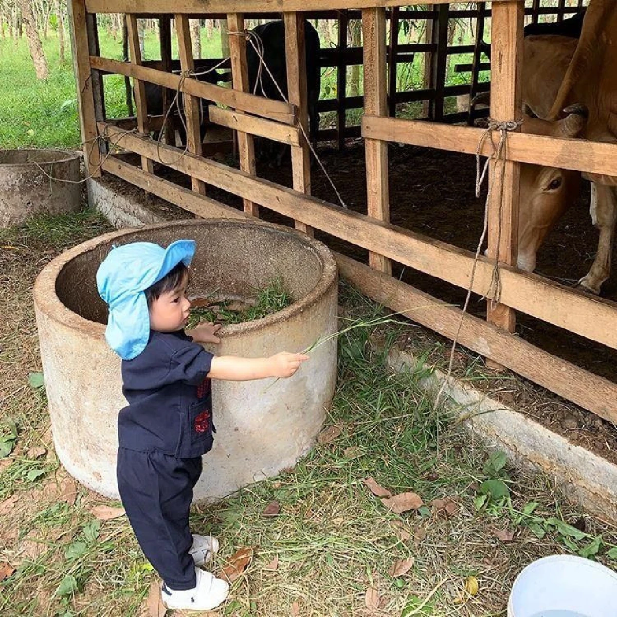 เนย โชติกา พาลูกชายเที่ยวบ้านสวนคุณยาย ใช้ชีวิตใกล้ชิดธรรมชาติ