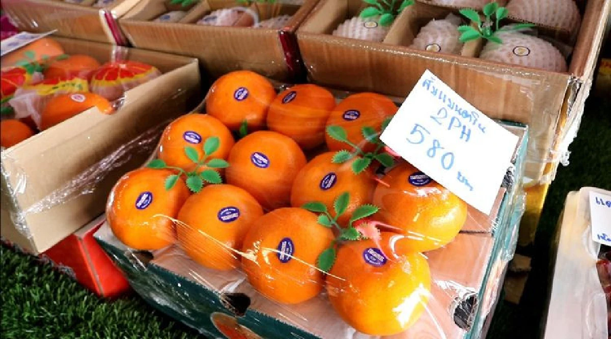 ตลาดล้านเมืองสร้างปรากฏการณ์ใหม่ "ลานผลไม้นานาชาติใหญ่ที่สุดในภาคเหนือ"