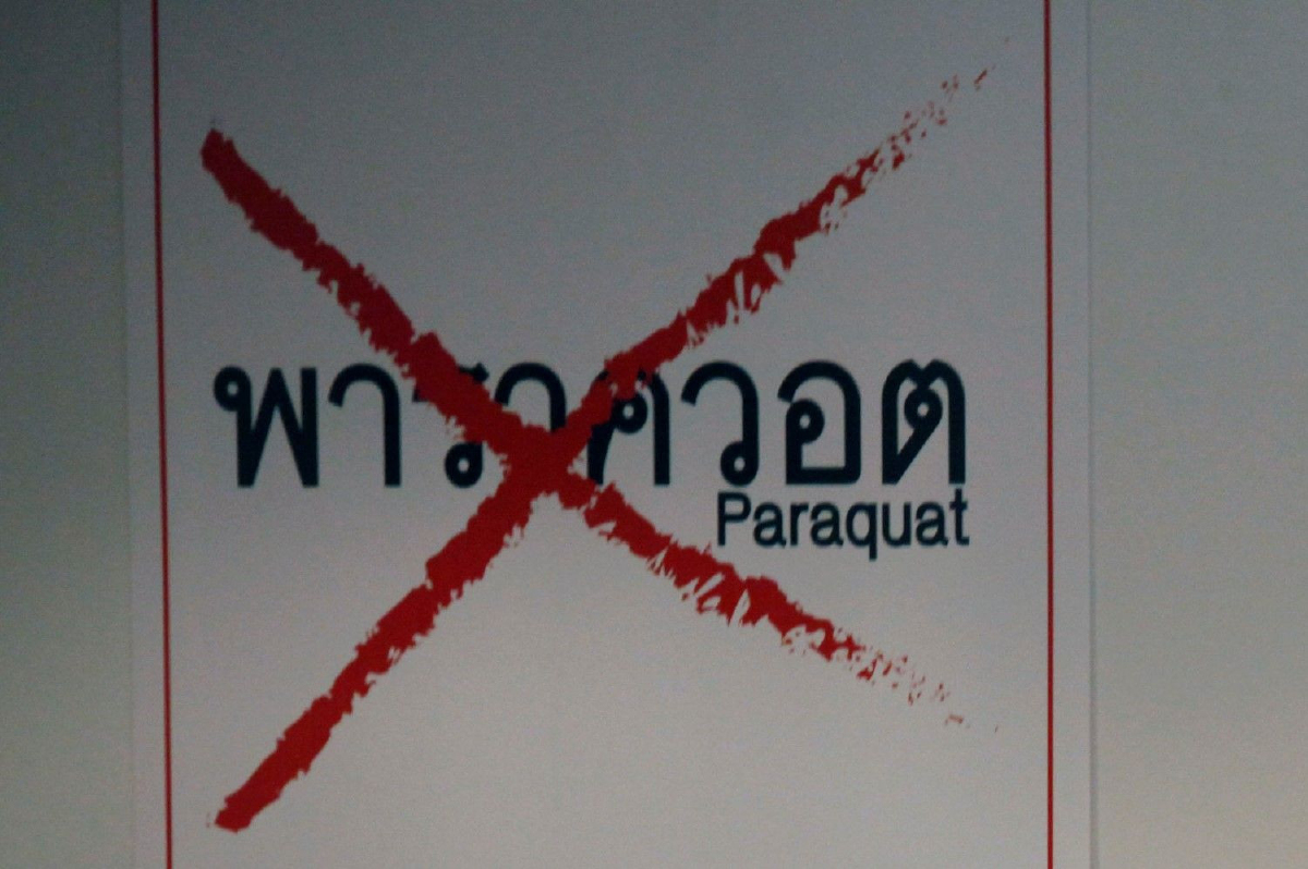 กสม.แนะรัฐบาลกำหนด "พาราควอต" เป็นวัตถุอันตรายชนิดที่4 กสม.แนะรัฐบาลกำหนด "พาราควอต" เป็นวัตถุอันตรายชนิดที่4