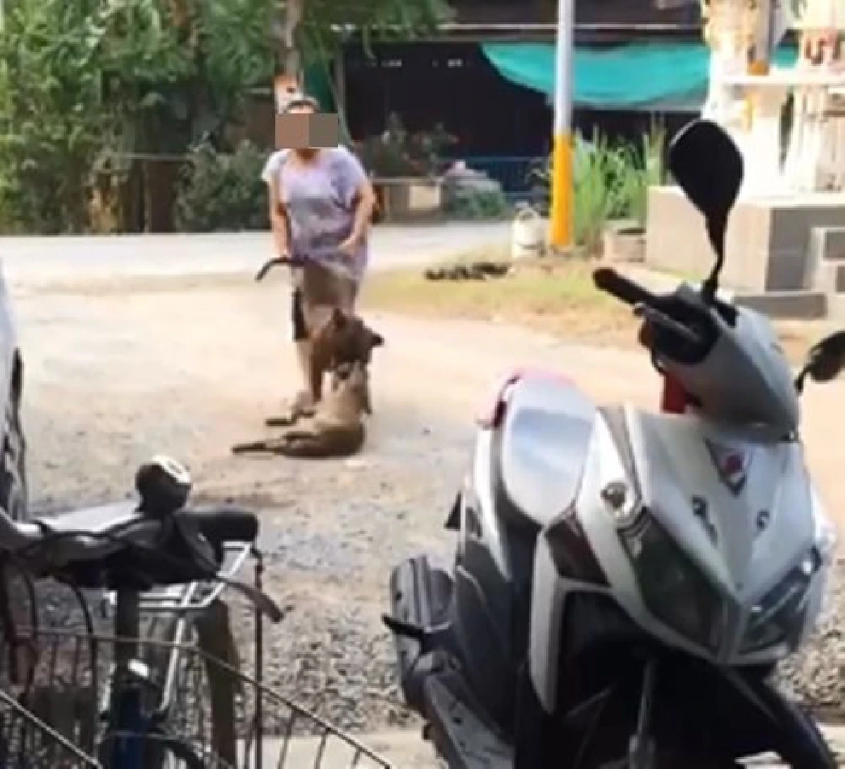 รู้ว่าดุควรล่าม! หนุ่มโพสต์อาลัยน้องหมาถูกสุนัขพิทบูลกัดตายถึงบ้าน