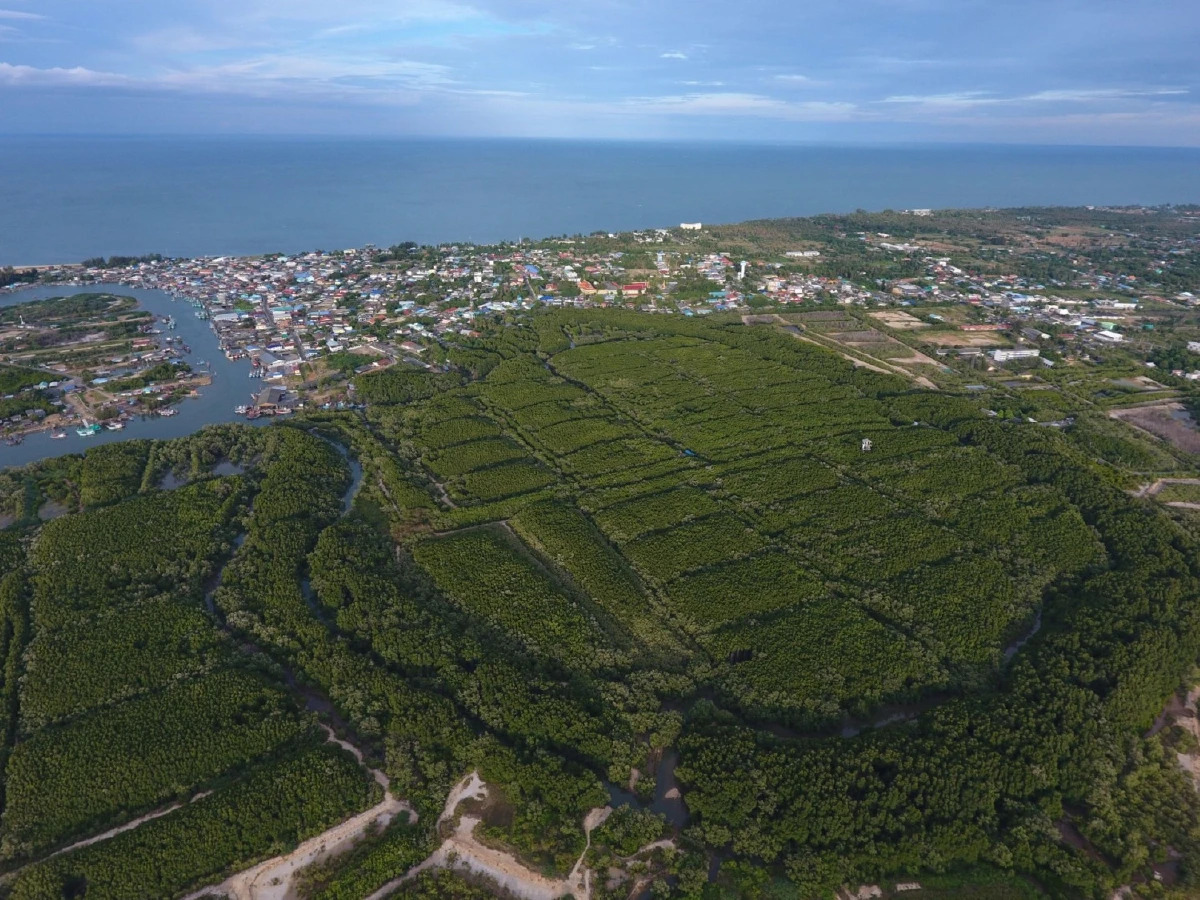 ปตท. ฉลอง 40 ปี ส่ง “ขอบคุณความรัก” แทนคำขอบคุณทุกแรงใจ