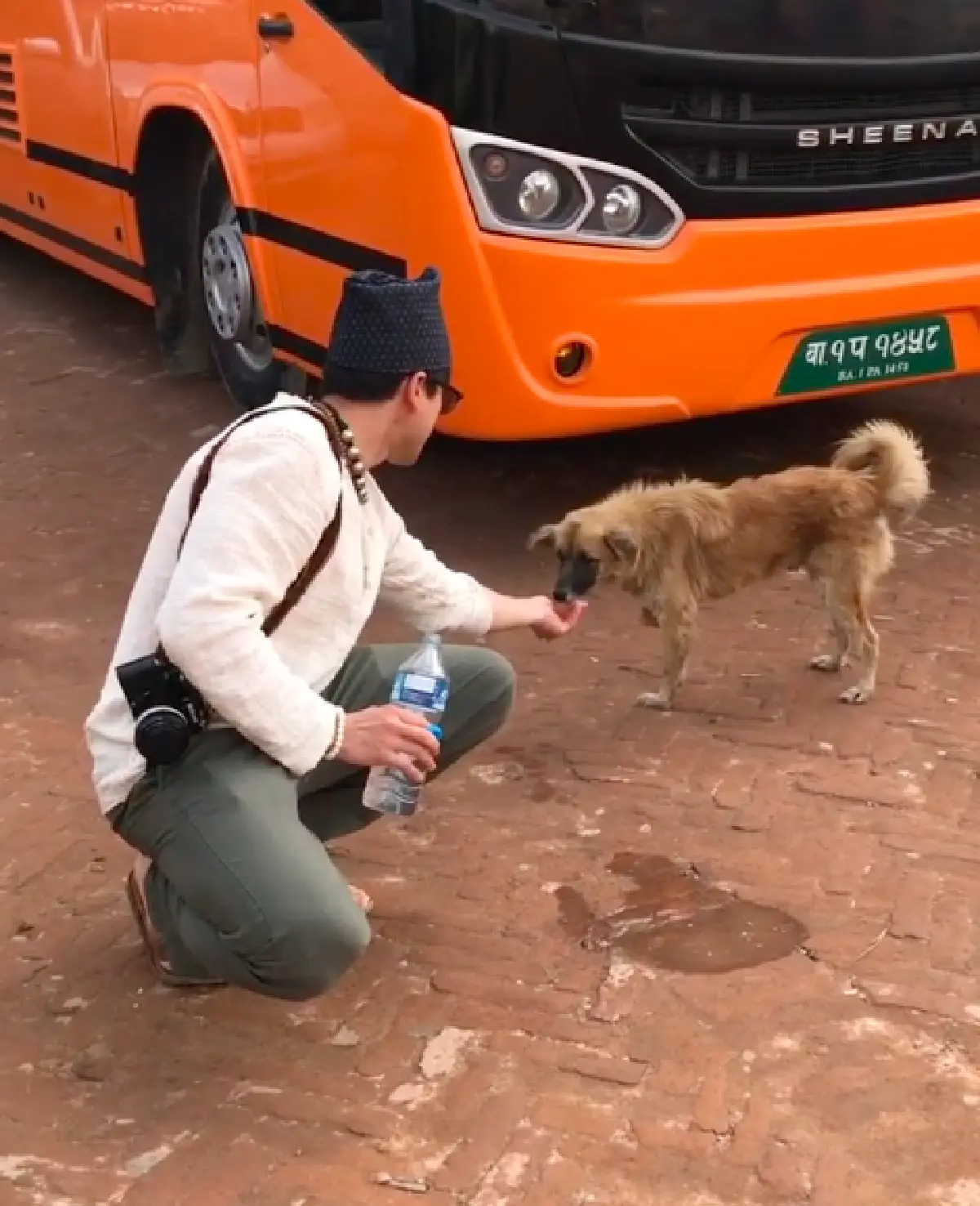 ทั้งหล่อ ทั้งใจดี “แม่แก้ว” เผยโมเมนต์น่ารักของ “ณเดชน์” เทน้ำใส่มือให้สุนัขจรจัดได้กิน จากเนปาล