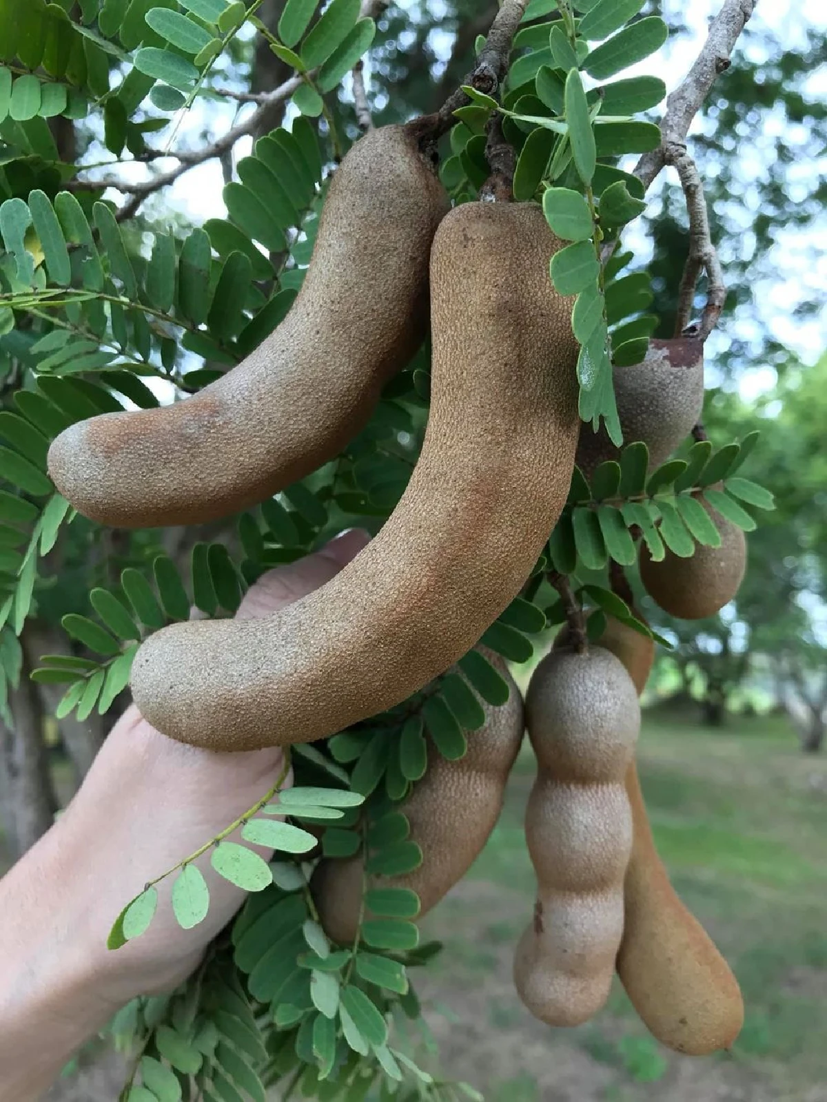 จินตนา อุดใจ สุขใดไหนจะเท่าบ้านเรา