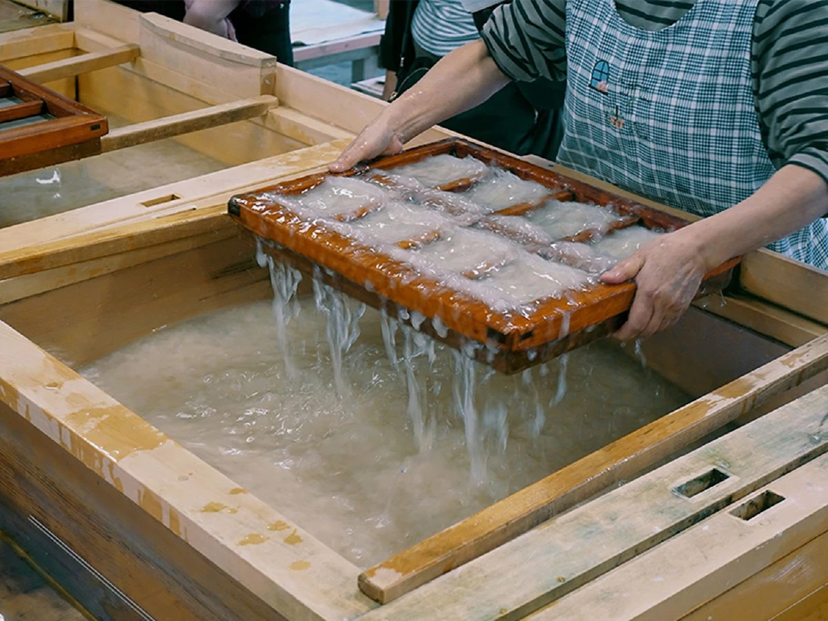 ชิโกคุ ครั้งแรก (5)