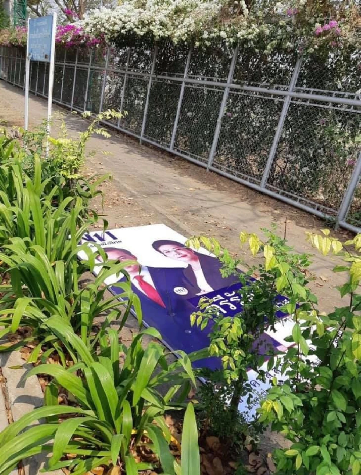 การเมืองดุ! รวมพฤติการณ์เหตุ "ทำลาย ป้ายหาเสียง"