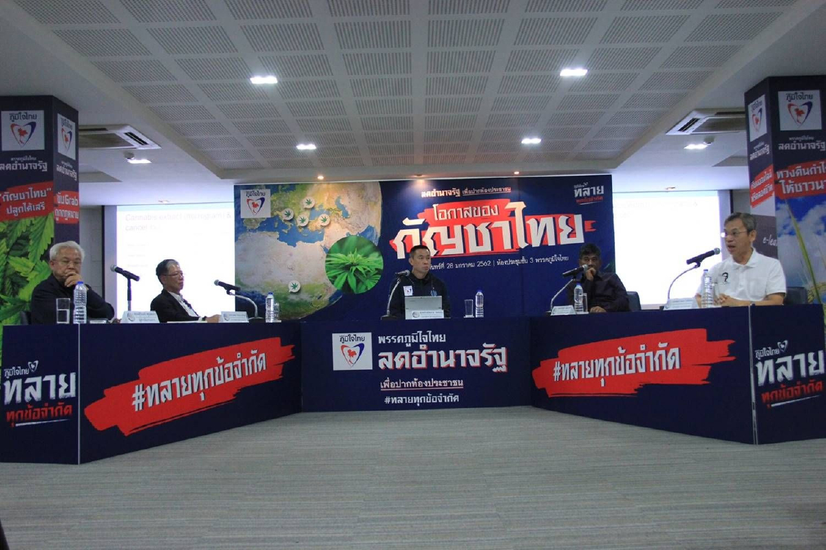 ภูมิใจไทยลั่นดันปลูกกัญชาเสรี ชี้เป็นพืชเศรษฐกิจสร้างรายได้ประชาชน ภูมิใจไทยลั่นดันปลูกกัญชาเสรี ชี้เป็นพืชเศรษฐกิจสร้างรายได้ประชาชน
