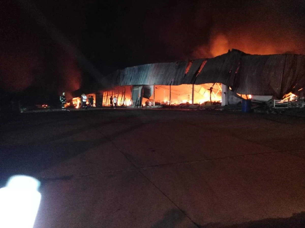 เก๋งพุ่งชนห้างขายเฟอร์นิเจอร์ที่หาดใหญ่เกิดเพลิงไหม้เสียหาย80ล้าน