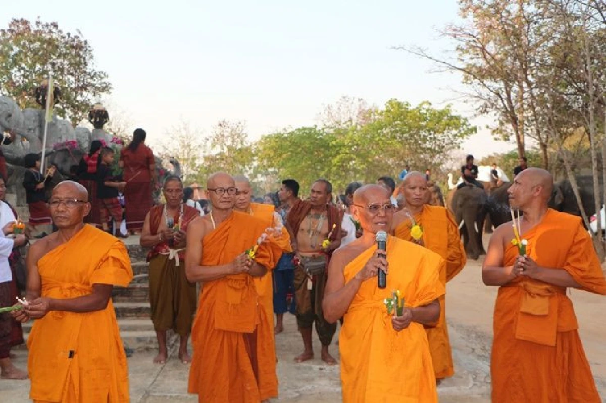 สุรินทร์นำช้าง 20 เชือกร่วมเวียนเทียนวันมาฆบูชา