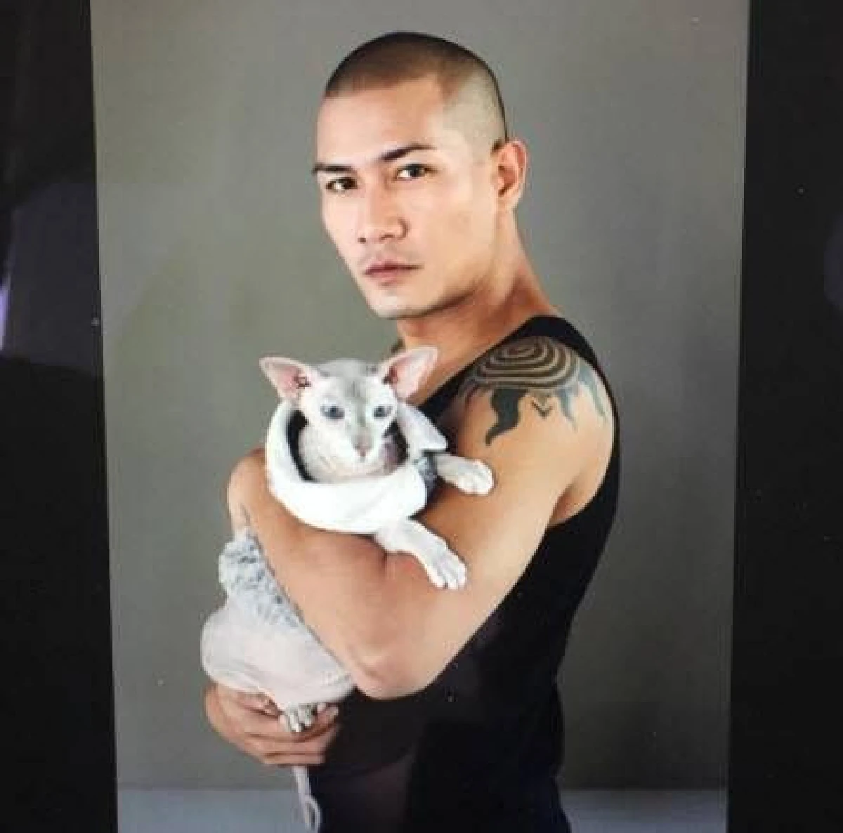 5 หนุ่มหล่อคนบันเทิงทาสแมว ที่คลั่งในเจ้าเหมียวอย่างมาก