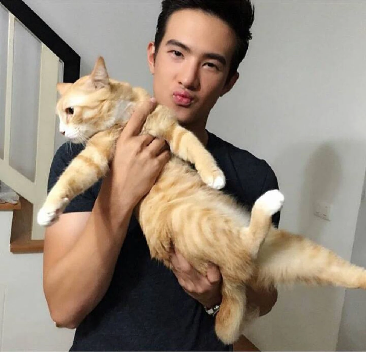 5 หนุ่มหล่อคนบันเทิงทาสแมว ที่คลั่งในเจ้าเหมียวอย่างมาก