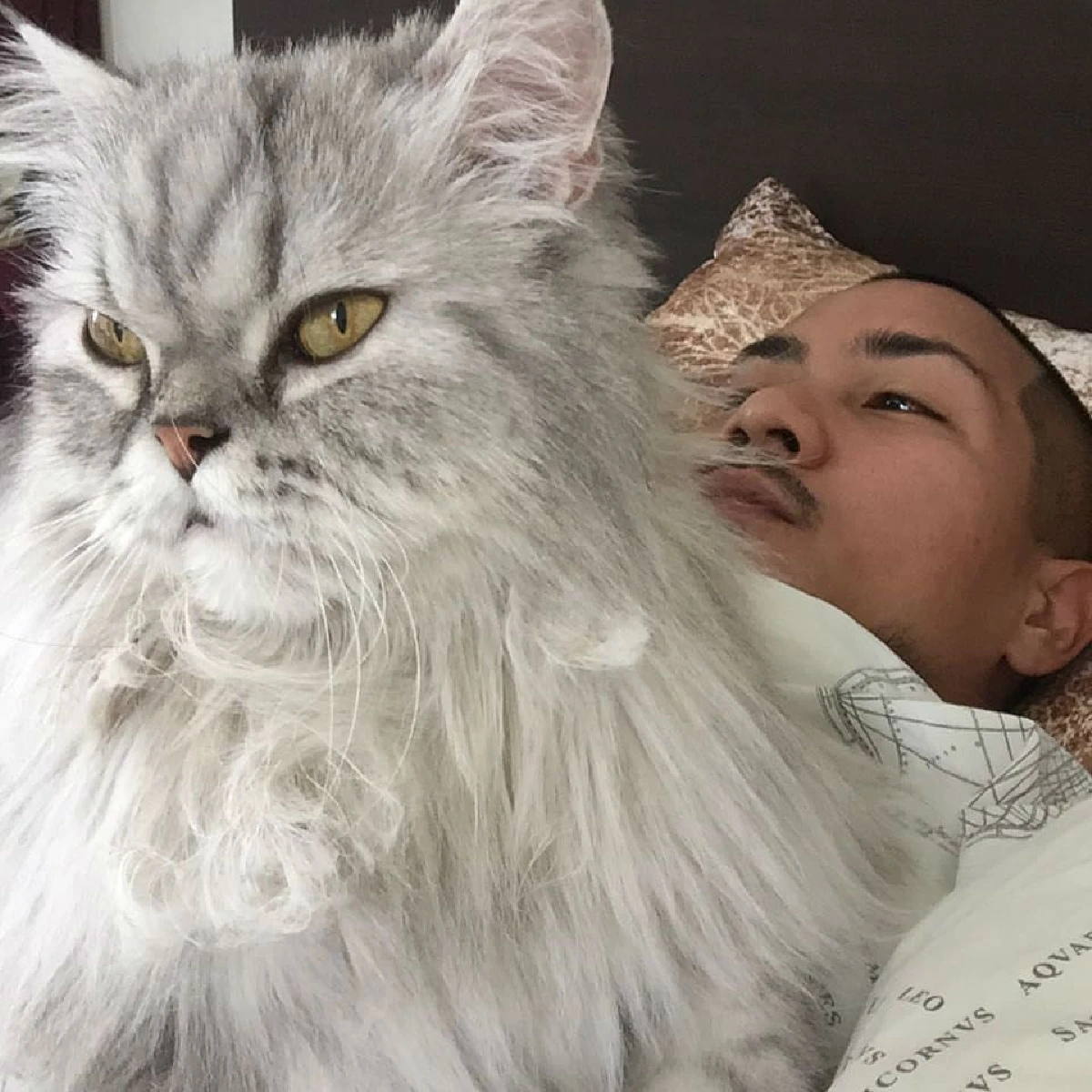 5 หนุ่มหล่อคนบันเทิงทาสแมว ที่คลั่งในเจ้าเหมียวอย่างมาก