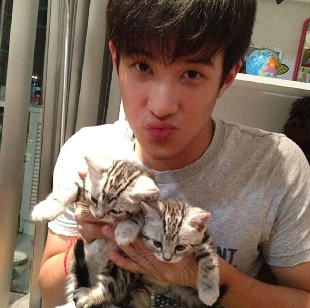 5 หนุ่มหล่อคนบันเทิงทาสแมว ที่คลั่งในเจ้าเหมียวอย่างมาก