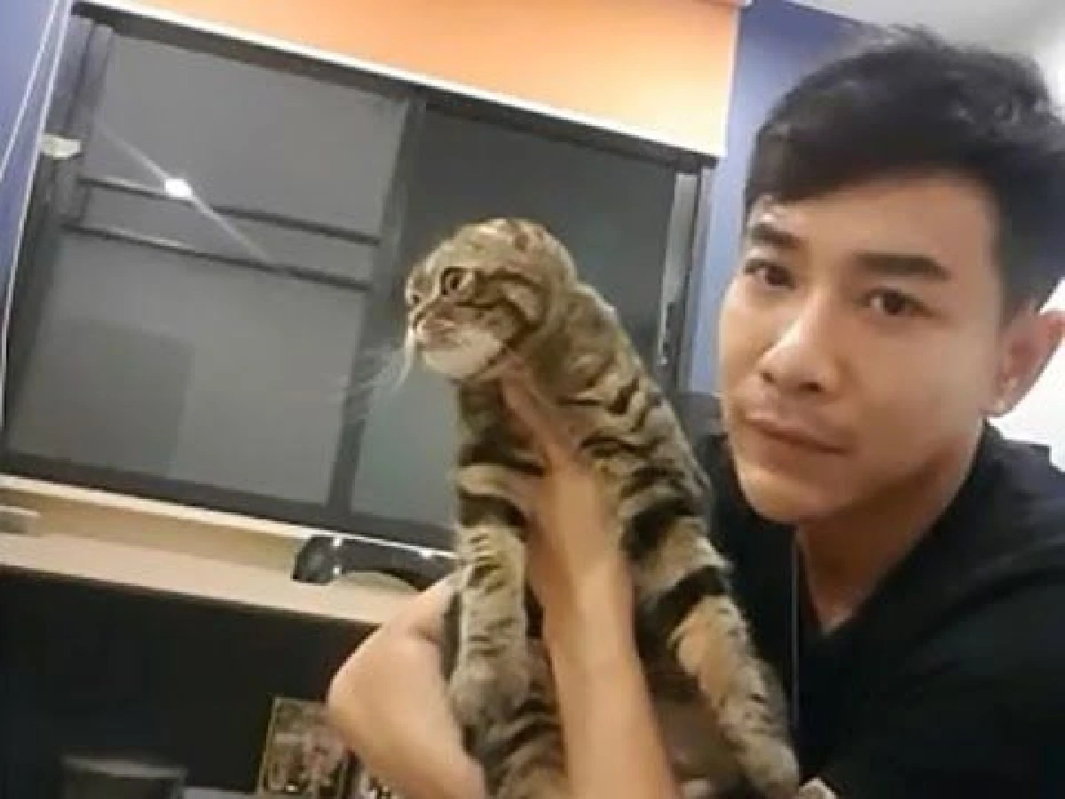 5 หนุ่มหล่อคนบันเทิงทาสแมว ที่คลั่งในเจ้าเหมียวอย่างมาก